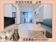 鄰近捷運五塊厝、文化中心❤️高樓層兩房(採光佳)