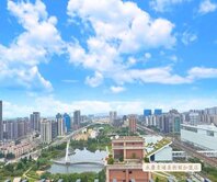 獨家🌳鄰近青埔機捷、美術館 |高樓景觀