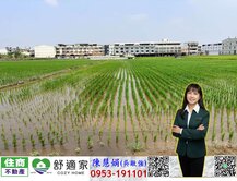 藏富南高雙軌金脈區段徵收農地1