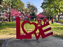 💥中壢北帝國觀天電梯套房$398萬💥