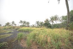 杉林絕美農地-用山風養出的靈土(一)