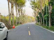 決心要賣.便宜建地.楠西國中.忠孝路上大面寬好排間