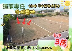 獨家✔️正8米外埔路✔️近麗寶大面寬✔️可申請農舍