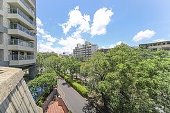 青埔航空城-近精華區農地