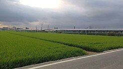 新園永吉路｜潛力首選都內農地・輕鬆打造農舍生活