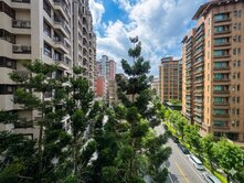✨白金漢宮✨雙主臥五房車上南崁核心商圈