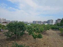 都計內農地｜廍子公園旁投資置產首選