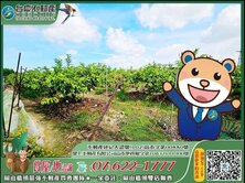 近岡山交流道丨雙面路+都內農丨有電地下水