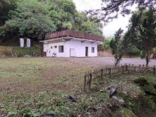東勢近市區1600坪整地超景觀高cp值農地送農舍