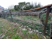 龍潭名人堂開心小農場2