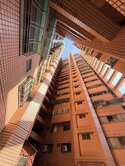 ⭐岡山天第大樓⭐大三房平車・低總價自住投資皆宜