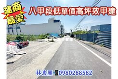 💝歸仁八甲段低單價高坪效甲建🦋林惠麗