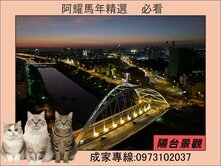 高樓河景景觀宅❤️三房平車(雙衛浴開窗)