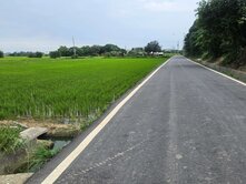 觀音美農地