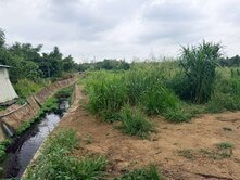 關廟五甲1.5分都內農地