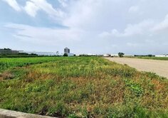 新化區竹子腳段方正農地