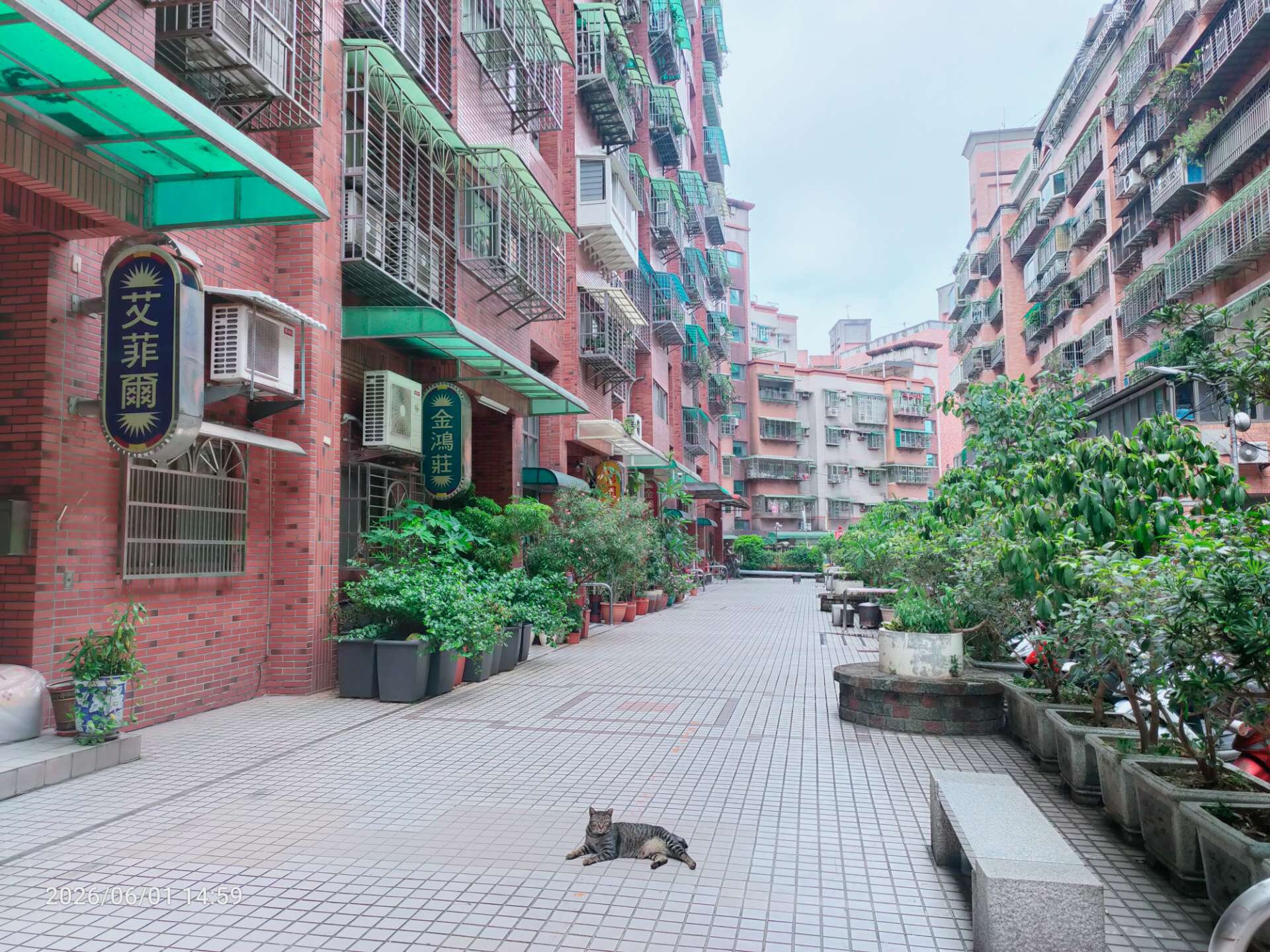 封面圖