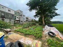 ❗️近新屋區公所❗️優質農地出售