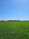 新屋6米路美農地