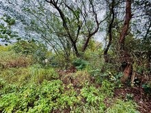 【超大面寬建地】四湖段138坪方正甲建｜31米大面