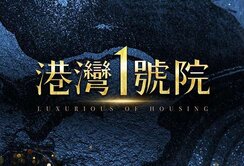 港灣1號院🌸超高樓層♨️平轉兩房機上車位