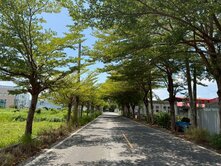 秀水馬鳴段🌱大面寬三面臨路農地