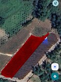 $雲林古坑農牧用地/現種鳳梨/自用出租兩相宜B