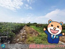阿蓮段#近市中心#地形方正#都內美農地