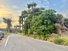 【大樹夜市】大坪數建地與都計內農地