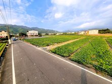 🍎美濃湖客家文物館都內方正漂亮農地🍎