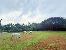 🏆儀居團隊🏆I8石門北海岸都計內土地
