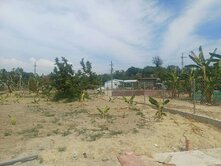 義大二路旁特定專業農地