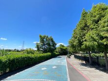 章魚燒專約♔有住家/水電/臨路♥︎城市小農地♥︎