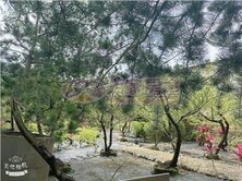 大柑園計畫農地(持分）