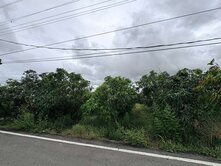 阿蓮高鐵便道旁724農地