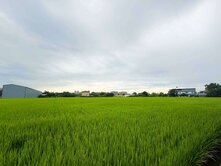 降價8980萬中興路旁方正面寬美農地