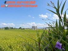 全新完工羅東旁農舍🌾不需要再花重金裝潢整修
