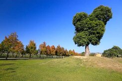 南興國小建地🌳鄰捷運松竹站😍台鐵松竹站