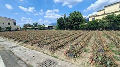 🍎泰山村三面鄰路優質農地#近鬧區