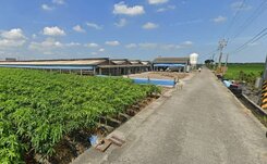 彰化溪州【面寬18.8米】農地【面6.5米路】