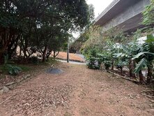 沙鹿小巧保護地