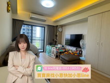 青埔A19花田囍市壯麗景觀美裝潢兩房B1車位