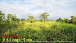 安定主要計畫增值農地0931384262