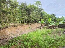 😎🩵臨路平坦都內農地老農配建😎🩵