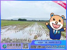 路竹下坑#大坪數#大面寬便宜方正美農地