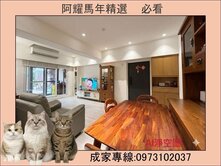 高鐵重愛商圈❤️三房附平車+大露臺