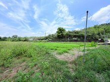 台20線旁甲仙山景珍稀超美大地坪農地