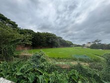 富岡面寬美農地