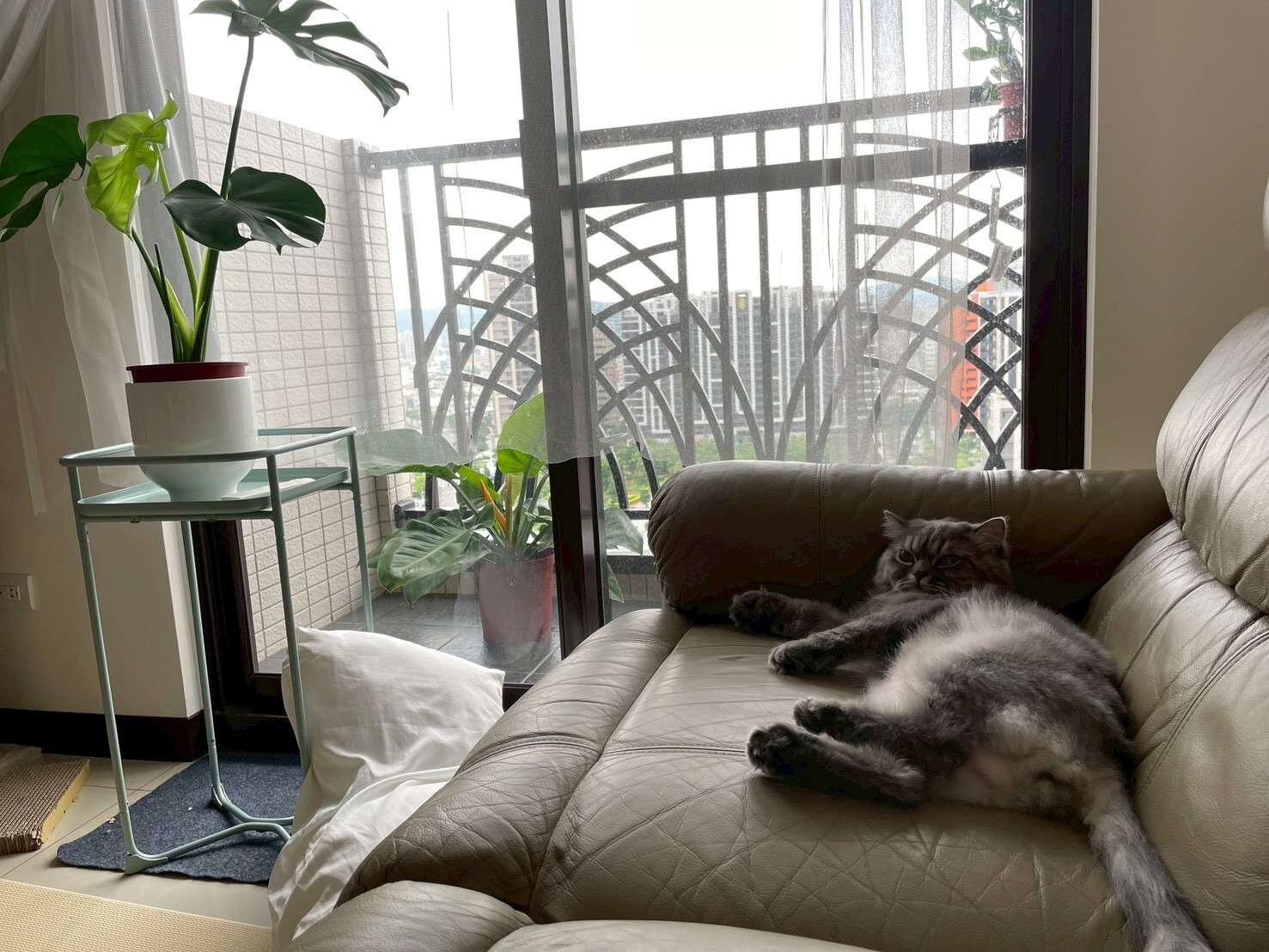 封面圖