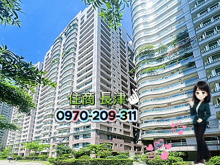 台南太子龍高質感景觀宅